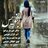 Alirezajamali4491