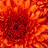 5abdb6927a