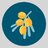 Hamed_sql