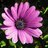 MOHAMMADREZA7
