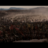 udgyf8568998