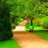 behzad554